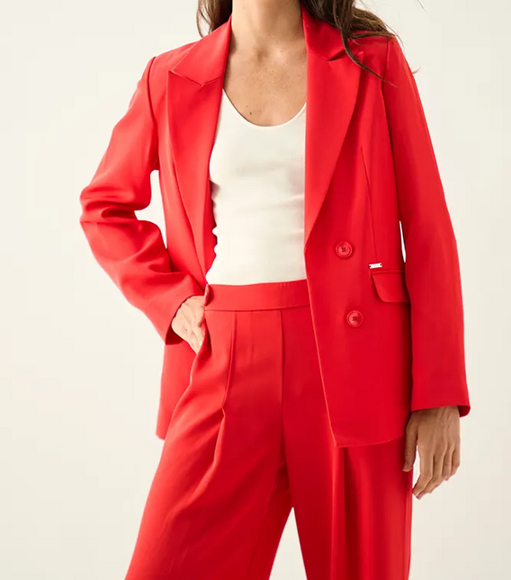 BLAZER ASH LISO