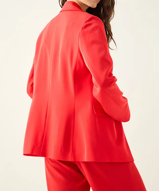 BLAZER ASH LISO