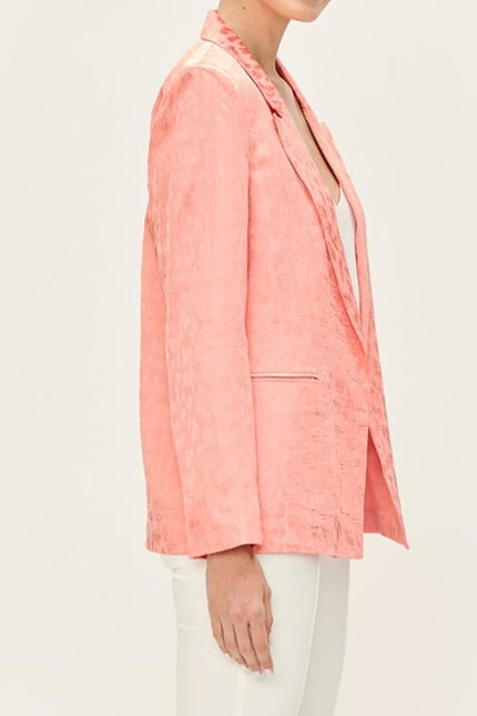 BLAZER ASH LISO