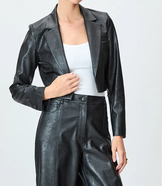 BLAZER IO LISO