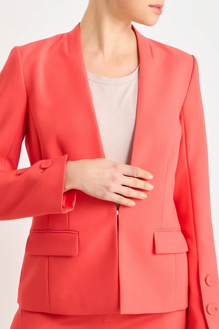 BLAZER ASH LISO