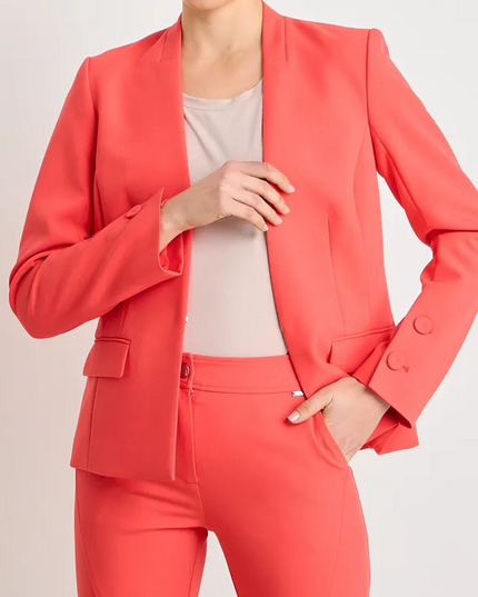 BLAZER ASH LISO