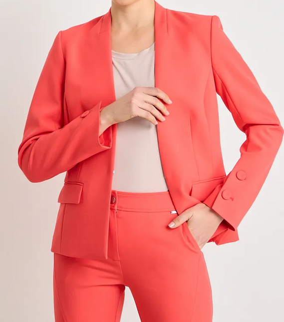 BLAZER ASH LISO