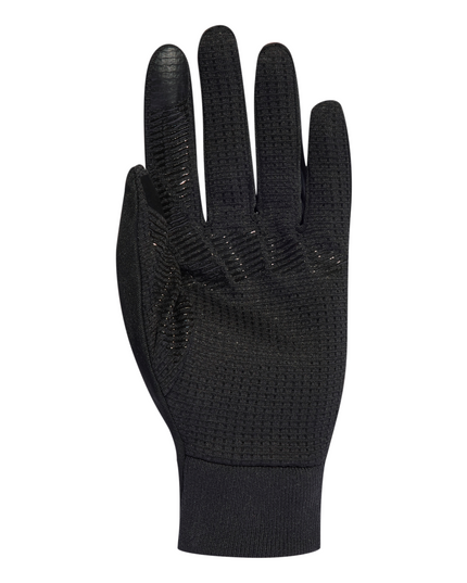 GUANTE TERREX COLD RDY GL