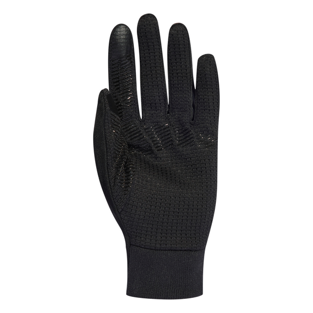 GUANTE TERREX COLD RDY GL