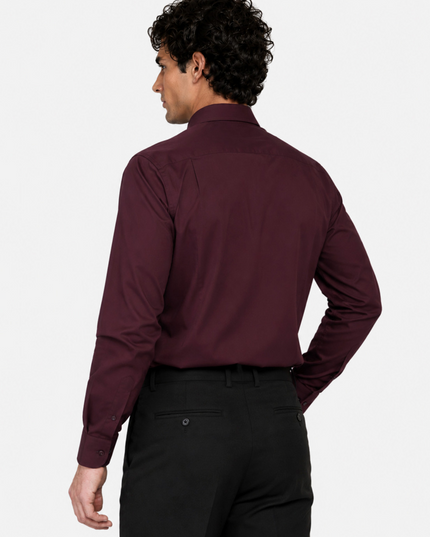 CAMISA ARROW FORMAL ARROW