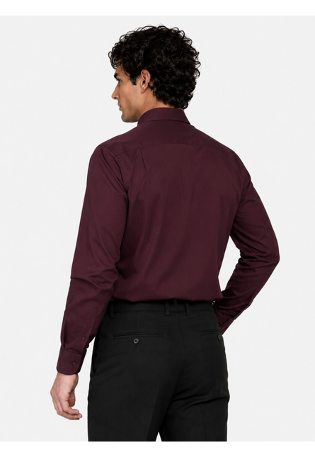CAMISA ARROW FORMAL ARROW