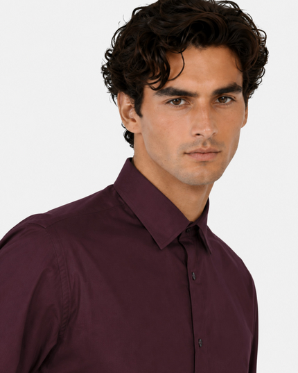 CAMISA ARROW FORMAL ARROW