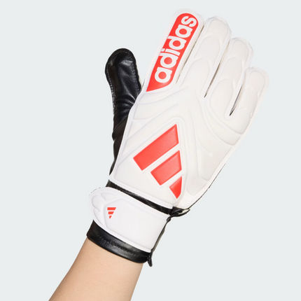Collection image for: Guantes Futbol