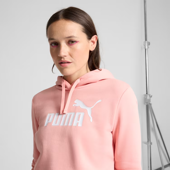 POLERON PUMA ESS NO. 1 LOGO HOODIE FL