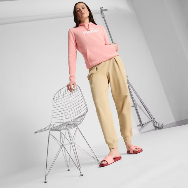 POLERON PUMA ESS NO. 1 LOGO HOODIE FL