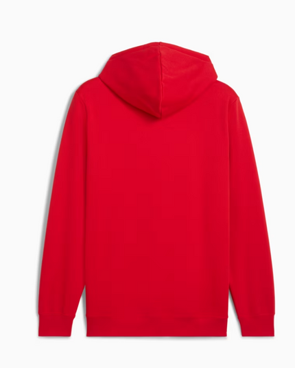 POLERON PUMA ESS NO. 1 LOGO HOODIE FL