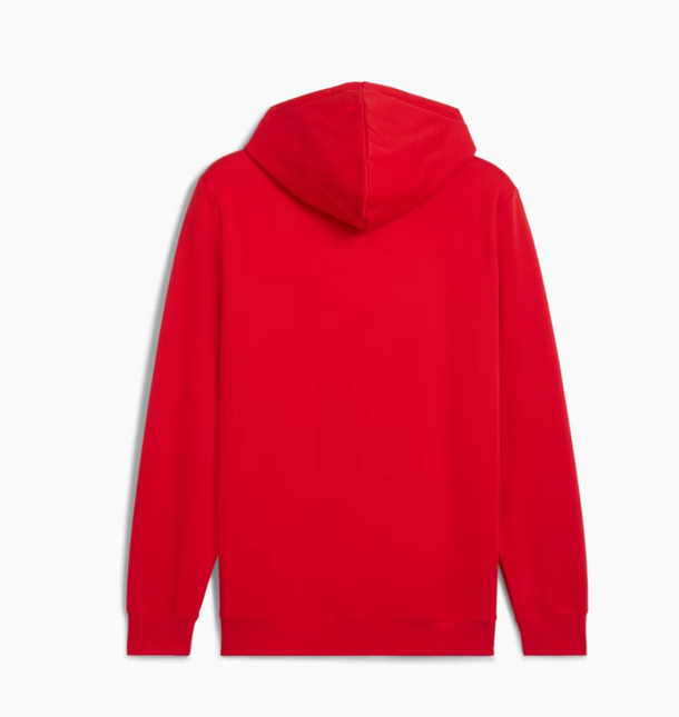 POLERON PUMA ESS NO. 1 LOGO HOODIE FL