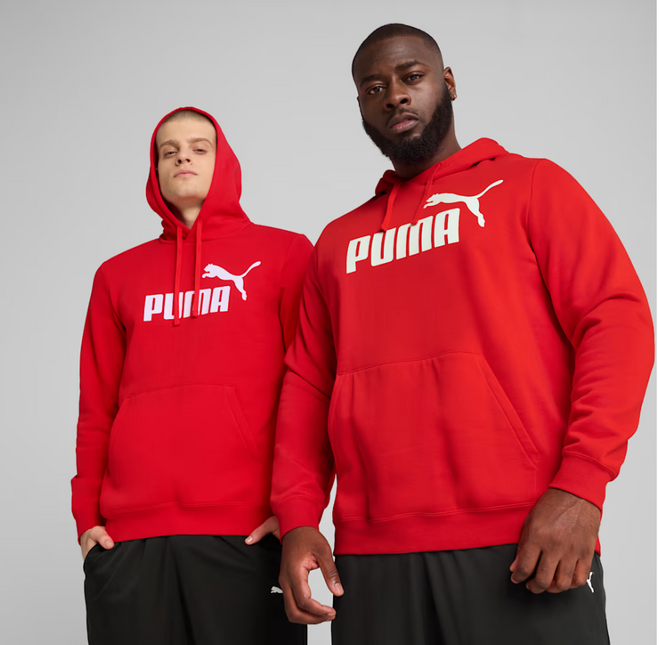 POLERON PUMA ESS NO. 1 LOGO HOODIE FL