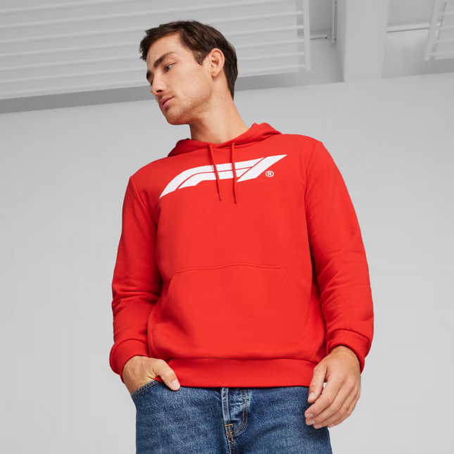 POLERON PUMA F1 ESS LOGO HOODIE