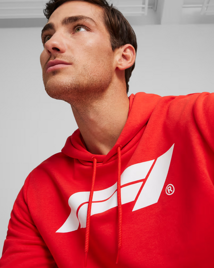 POLERON PUMA F1 ESS LOGO HOODIE