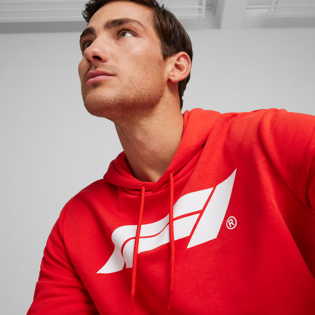 POLERON PUMA F1 ESS LOGO HOODIE