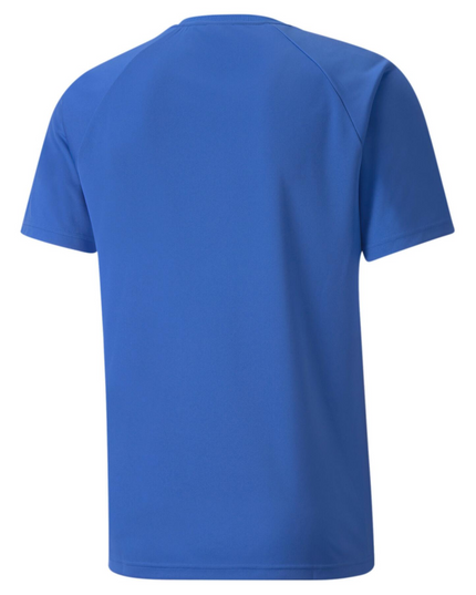 POLERA PUMA TEAMLIGA STRIPED JERSEY
