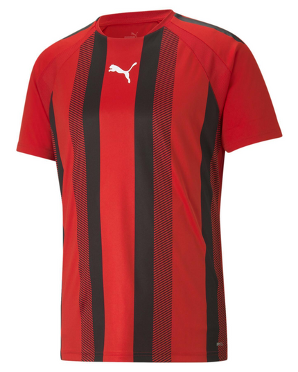 POLERA PUMA TEAMLIGA STRIPED JERSEY