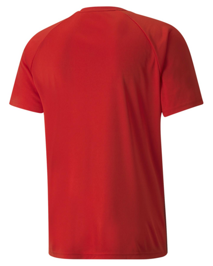 POLERA PUMA TEAMLIGA STRIPED JERSEY