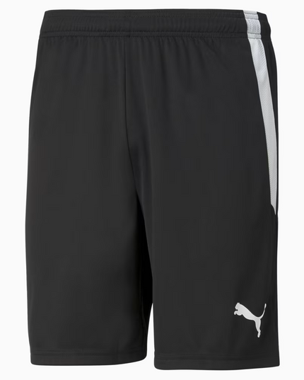 SHORT PUMA TEAMLIGA