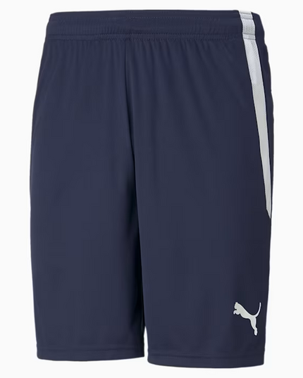 SHORT PUMA TEAMLIGA