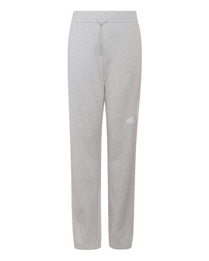 Pantalón de buzo Adidas Unisex J Bl Ft Pt 280 en color gris