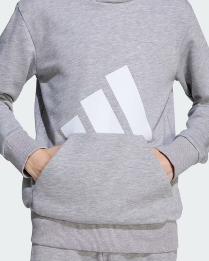POLERON UNISEX NIÑOS ADIDAS BL FT HD