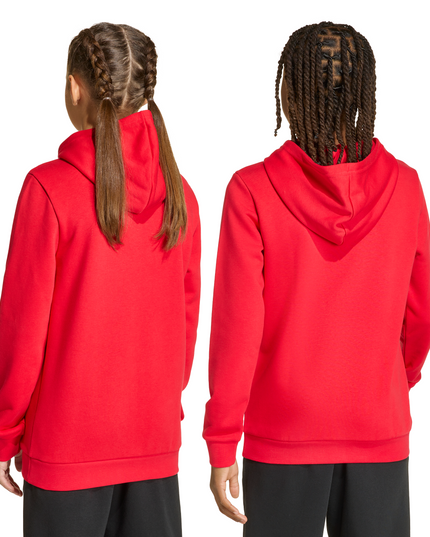 POLERON UNISEX ADIDAS J COLLEG HD - MAWI