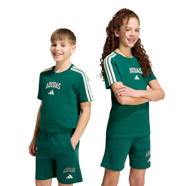 Polera infantil Adidas J Colleg T en color verde