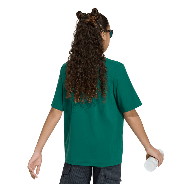 POLERA UNISEX TERREX K XPL GFX TEE