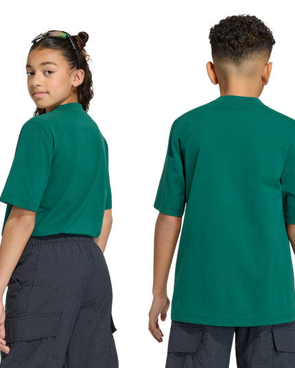 POLERA UNISEX TERREX K XPL GFX TEE