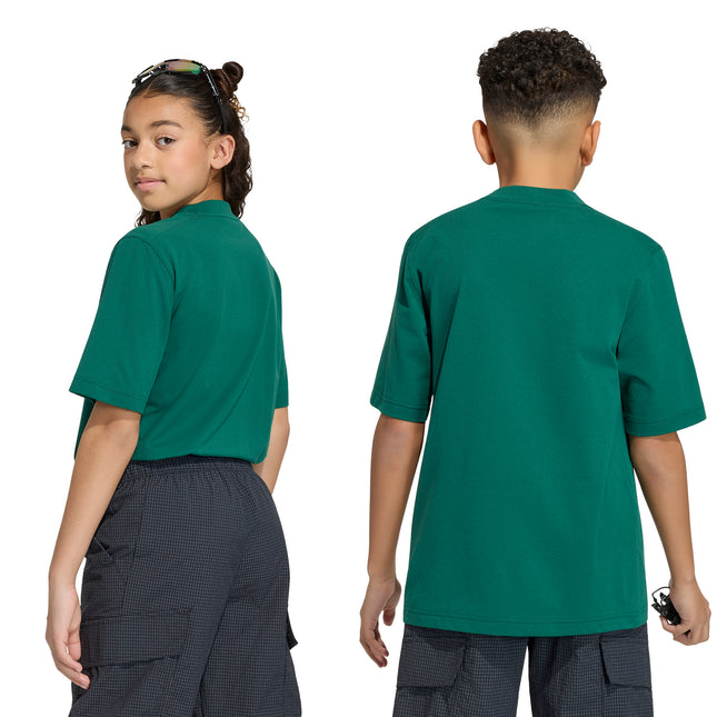 POLERA UNISEX TERREX K XPL GFX TEE