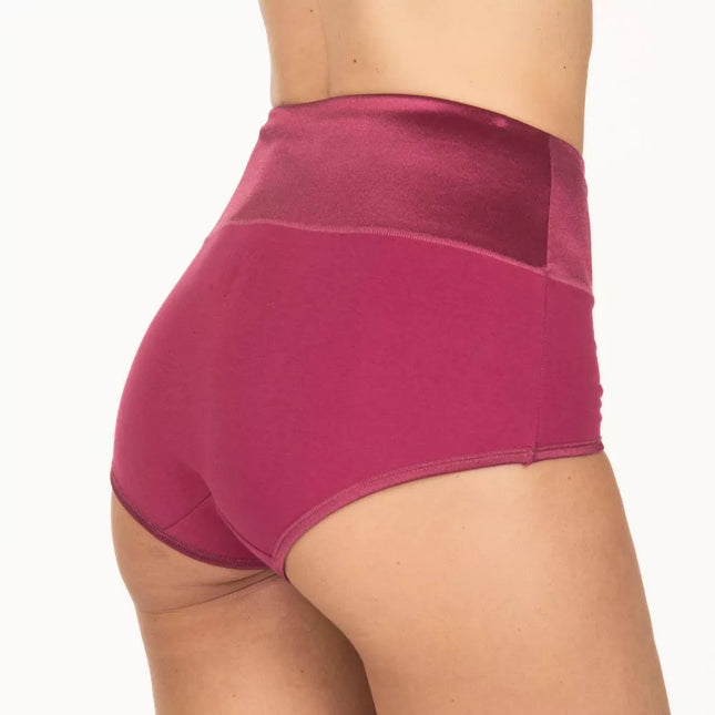 PANTALETA LADY GENNY MAXI COTTON SPANDEX & MICROFI