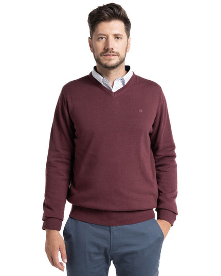 SWEATER POTROS CUELLO V VENECIA