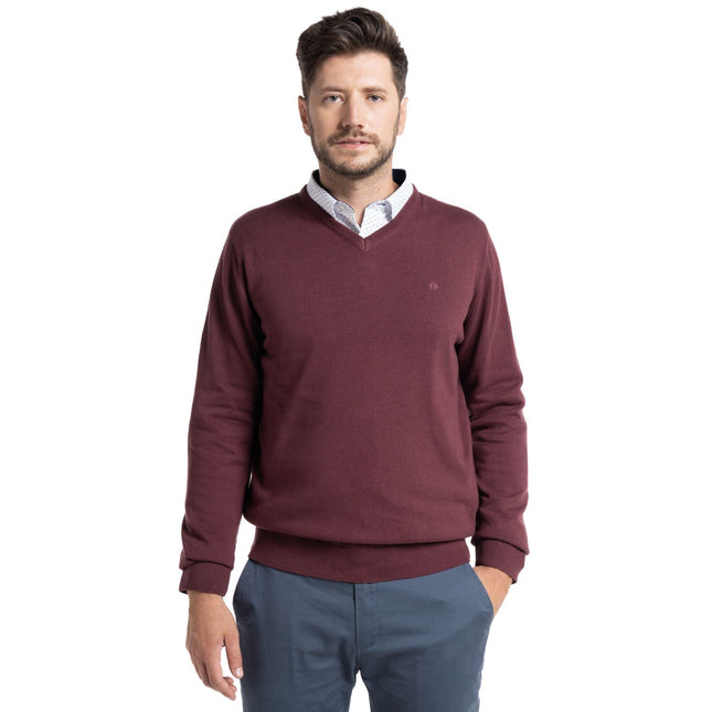 SWEATER POTROS CUELLO V VENECIA