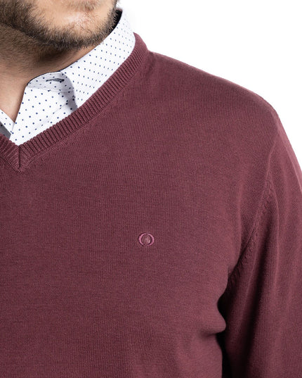 SWEATER POTROS CUELLO V VENECIA