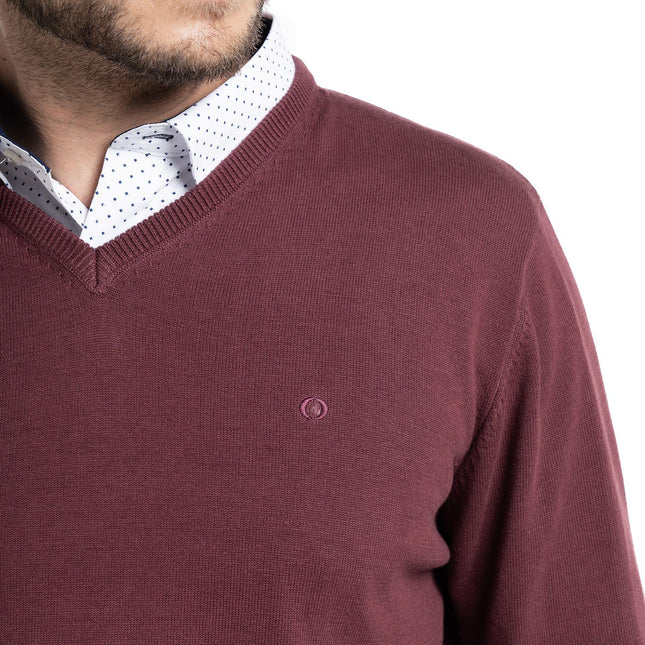 SWEATER POTROS CUELLO V VENECIA