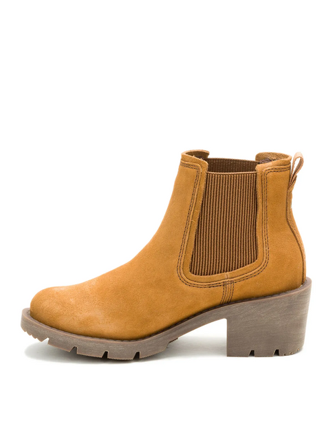 BOTIN CAT REWRITE CHELSEA