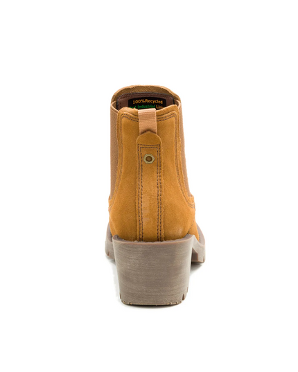 BOTIN CAT REWRITE CHELSEA