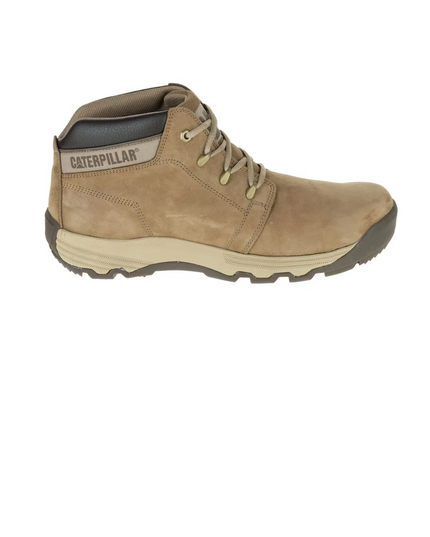 BOTIN CAT DISTRUPT