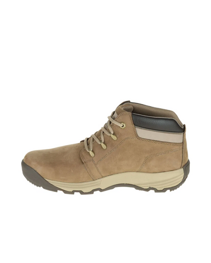 BOTIN CAT DISTRUPT