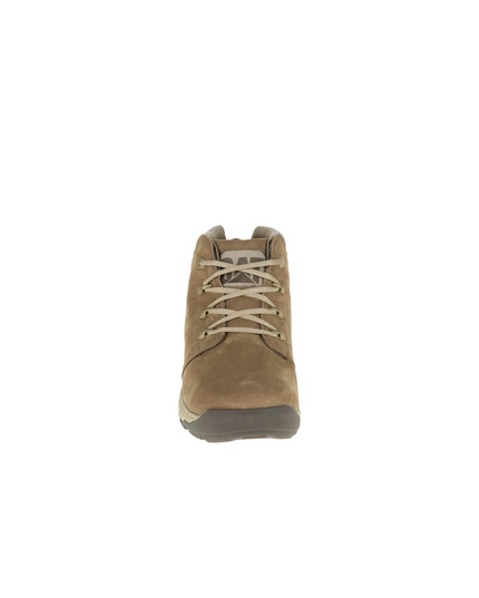 BOTIN CAT DISTRUPT