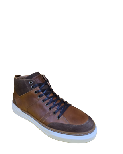 BOTIN CARDINALE CITITATION
