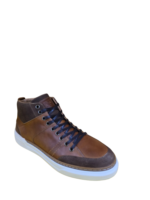 BOTIN CARDINALE CITITATION