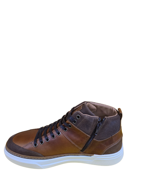 BOTIN CARDINALE CITITATION