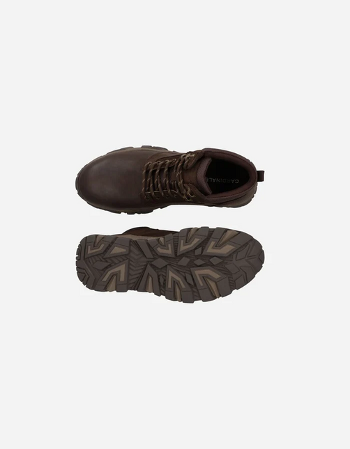 BOTIN CARDINALE SANCY