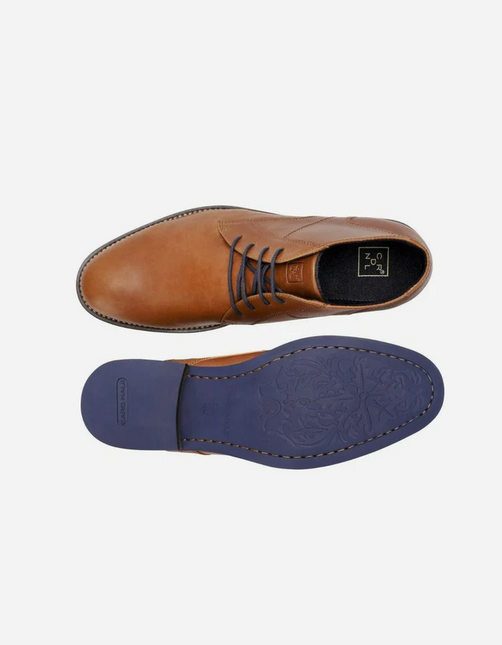BOTIN CARDINALE DENIZEN