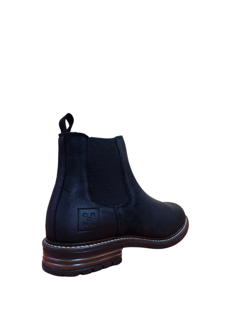 BOTIN CARDINALE RAIL