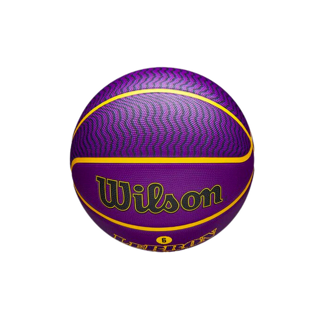 BALON WILSON NBA PLAYER ICON LEBRON